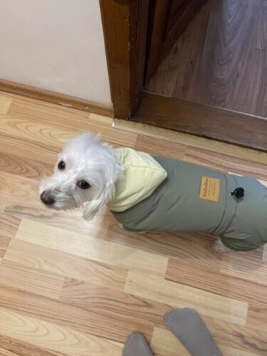 Salopeta imblanita, Impermeabila, Gluga, Inel pentru Lesa #HC1776 photo review