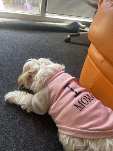 Bluza "I love Mom&Dad", Albastra #HC565 photo review