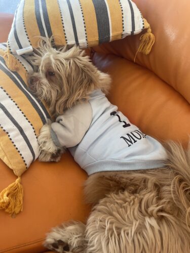 Bluza "I love Mom&Dad", Albastra #HC565 photo review