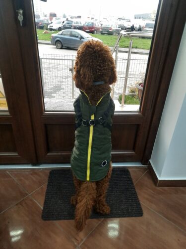 Vesta Impermeabila, Imblanita + Ham incorporat - Kaki #HC1583 photo review