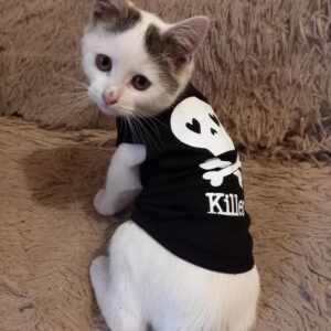 Tricou pentru catei - Killer - #HC1127 photo review