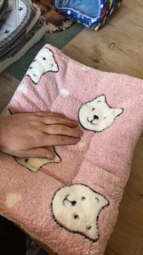 Covoras moale pentru caini si pisici, Fleece #PC93 photo review