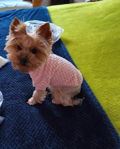 Bluza Pufoasa - Roz #HC840 photo review