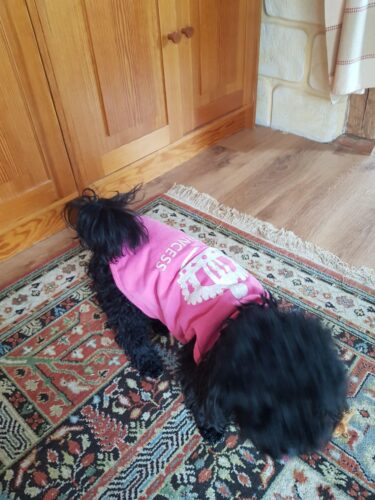 Tricou pentru catei - Princess - Roz #HC1652 photo review