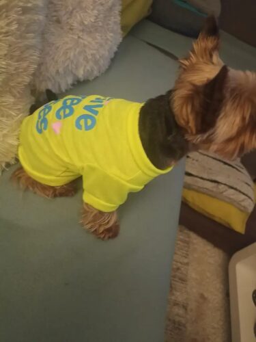 Tricou - Free Kisses - Neon #HC1635 photo review