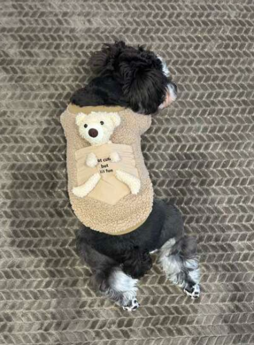 Bluza Pufoasa cu Ursulet - Maro #HC673 photo review